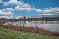 Lacs à vendre à Connerré, Sarthe - 185 760 € - photo 10