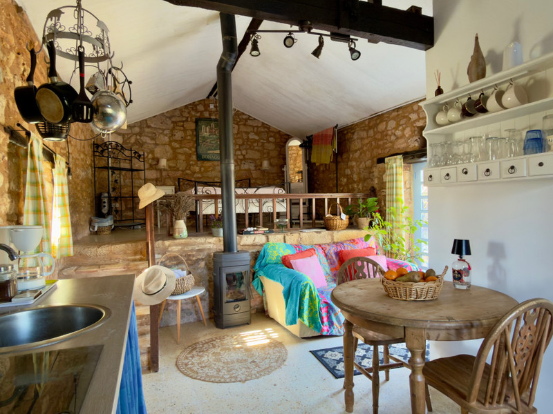 French property for sale in Montcabrier, Lot - €290,000 - photo 9