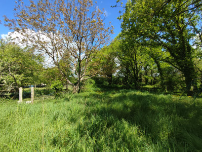 French property for sale in Champagne-Mouton, Charente - €29,000 - photo 9