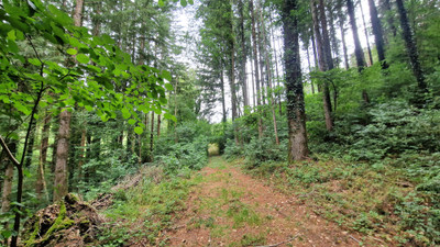 French property for sale in Brassac, Tarn - €297,000 - photo 10