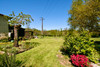 French property for sale in Massignac, Charente - €80,000 - thumbnail 9