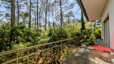 French property for sale in Lège-Cap-Ferret, Gironde - €1,598,000 - photo 4