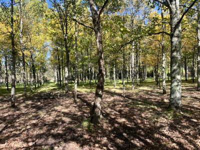 French property for sale in Mainxe-Gondeville, Charente - €298,600 - photo 5