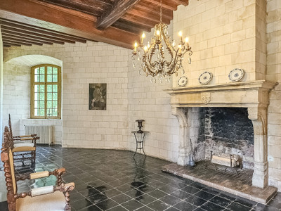 Magnificent unique fairytale château in charming secluded grounds. Excellent condition. Paris Airport 2 hours.