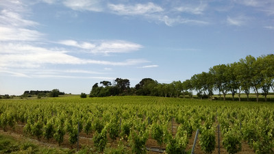 French property for sale in Narbonne, Aude - €926,000 - photo 5