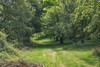 French property for sale in Izé, Mayenne - €372,500 - thumbnail 14