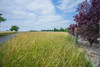 French property for sale in Douzat, Charente - €30,900 - thumbnail 1