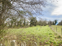 Propriété à vendre à Saint-Désiré, Allier - 77 000 € - photo n°5