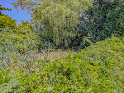 French property for sale in Badefols-d'Ans, Dordogne - €110,000 - photo 13