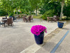 French property for sale in Azille, Aude - €29,000 - thumbnail 14