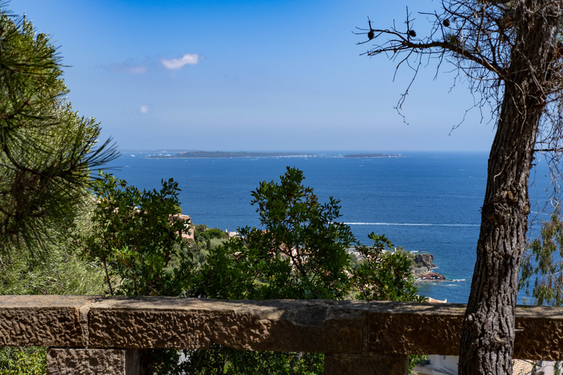 French property for sale in Théoule-sur-Mer, Alpes-Maritimes - €8,500,000 - photo 5
