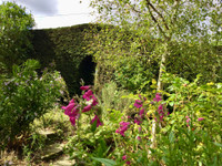 Maison à vendre à Sacey, Manche - 177.800 € - photo 5