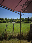 Propriété à vendre à Chabrac, Charente - 89 000 € - photo n°9