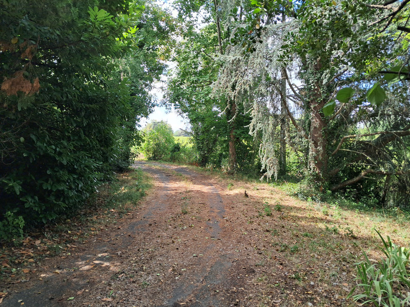 French property for sale in Bourg, Gironde - €399,990 - photo 13