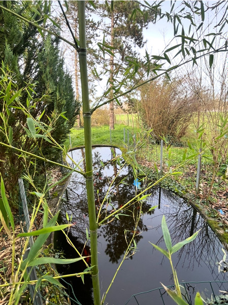 French property for sale in Celles, Charente-Maritime - €194,399 - photo 9