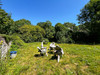 French property for sale in Évran, Côtes-d'Armor - €41,600 - thumbnail 14