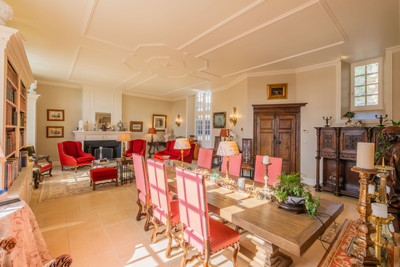 Stunning château, private hotel in the heart of the historic city of Thouars