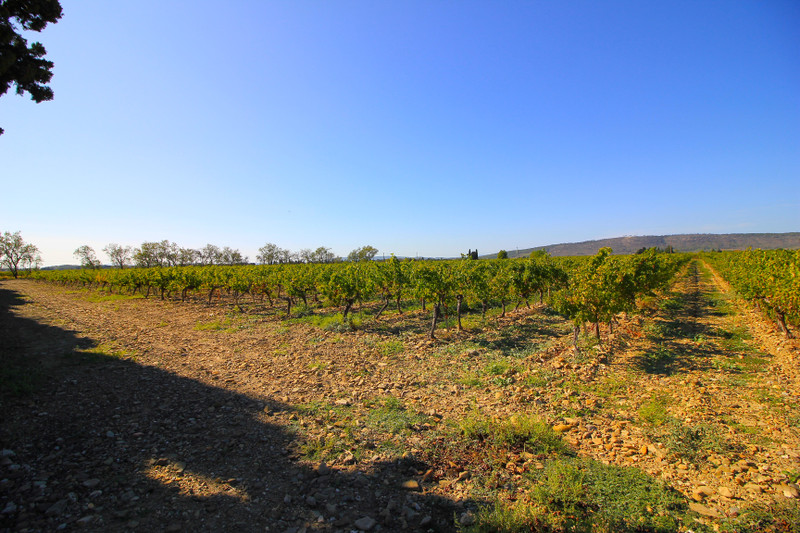 French property for sale in Argeliers, Aude - €340,000 - photo 11