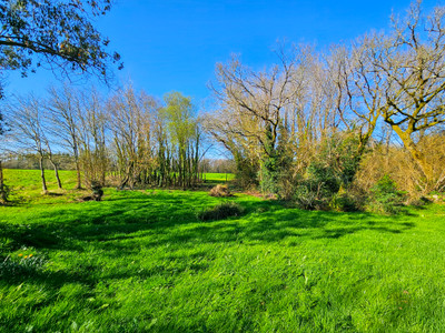 French property for sale in Camors, Morbihan - €350,000 - photo 1