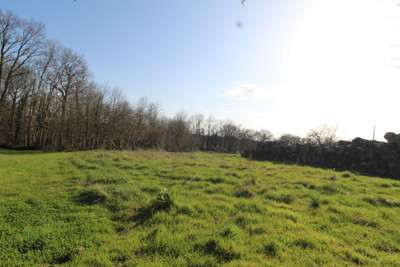French property for sale in Nieuil, Charente - €20,000 - photo 3