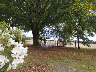 French property for sale in Condéon, Charente - €530,000 - photo 3