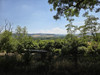 French property for sale in Vicq, Allier - €892,500 - thumbnail 8