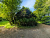 French property for sale in Lohuec, Côtes-d'Armor - €162,000 - thumbnail 14