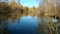 Lacs à vendre à Gréez-sur-Roc, Sarthe - 577 700 € - photo 2
