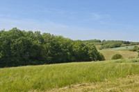 Propriété à vendre à Tauriac, Tarn - 87 600 € - photo n°1