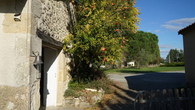 French property for sale in Sainte-Gemme, Gironde - €522,800 - photo 11