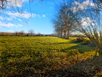 French property for sale in Perche en Nocé, Orne - €498,000 - photo 9