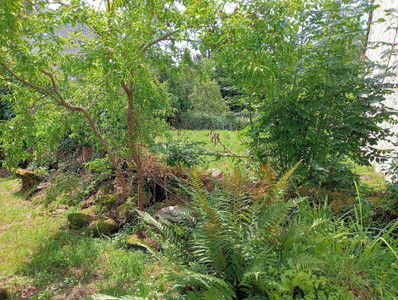 French property for sale in Gros-Chastang, Corrèze - €41,600 - photo 9