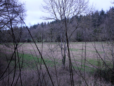 French property for sale in Landeleau, Finistère - €36,600 - photo 1