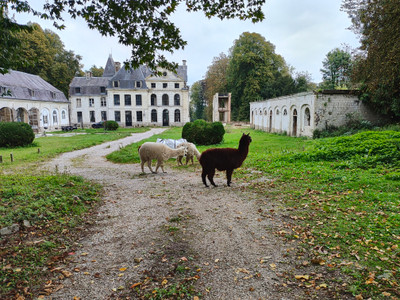 French property for sale in Humières, Pas-de-Calais - €380,000 - photo 9