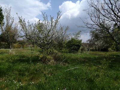 French property for sale in Villefranche-de-Lonchat, Dordogne - €44,600 - photo 5