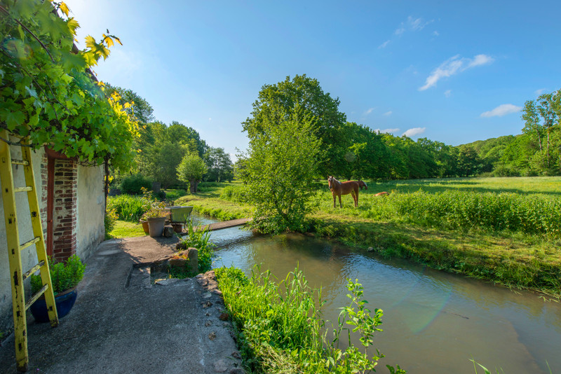 House for sale in Courtenay Loiret CHARMING RENOVATED PROPERTY HOUSES, BARNS, GARAGE, 2.8