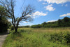 French property for sale in Saint-Félix-de-Villadeix, Dordogne - €83,600 - thumbnail 9