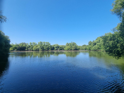 Lacs à vendre à Saint-Cyr-le-Gravelais, Mayenne, Pays de la Loire, avec Leggett Immobilier