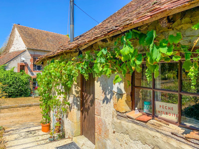 chateau à vendre à Poitou-Charentes (Nouvelle Aquitaine)
