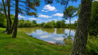 Propriété à vendre à Église-Neuve-d'Issac, Dordogne - 950 000 € - photo n°9