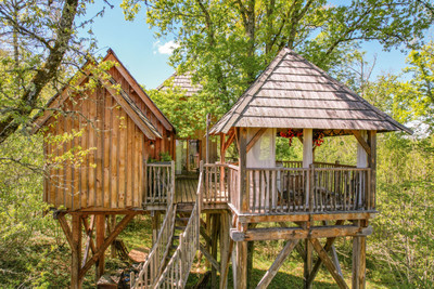 French property for sale in Le Bugue, Dordogne - €690,000 - photo 2