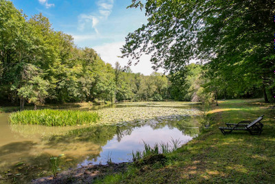 French property for sale in Les Eyzies, Dordogne - €691,500 - photo 8