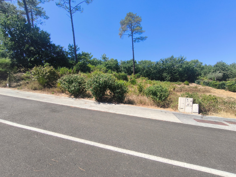 French property for sale in Biscarrosse, Landes - €420,000 - photo 3