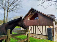 Maison à vendre à Mortain-Bocage, Manche - 220.000 € - photo 9
