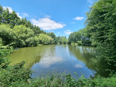 Lacs à vendre à Charchigné, Mayenne, Pays de la Loire, avec Leggett Immobilier