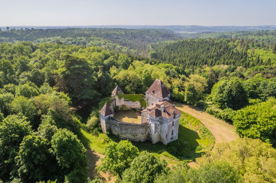 chateau for sale in Dordogne