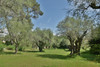 French property for sale in Valbonne, Alpes-Maritimes - €1,550,000 - thumbnail 6