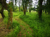French property for sale in Lalinde, Dordogne - €499,000 - thumbnail 9