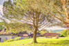 French property for sale in Salies-de-Béarn, Pyrénées-Atlantiques - €650,000 - thumbnail 9