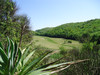French property for sale in Masseube, Gers - €237,176 - thumbnail 9